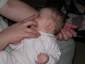 Elya et papa - 008 * 1024 x 768 * (84KB)